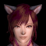 猫耳改装具・黒グラ.jpg