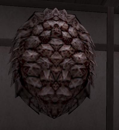玄武の甲.JPG