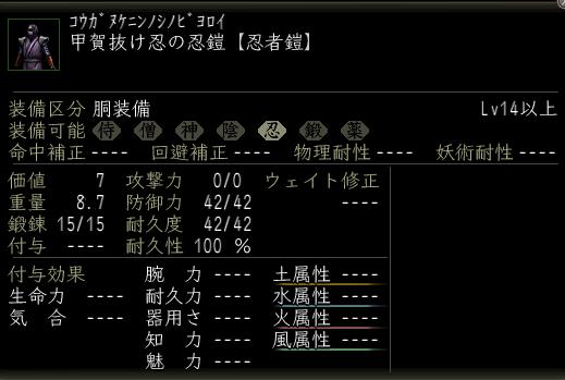 甲賀抜け忍の忍鎧.JPG