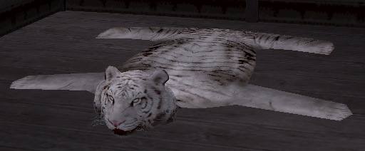 tora2.jpg