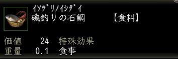 磯釣りの石鯛.jpg