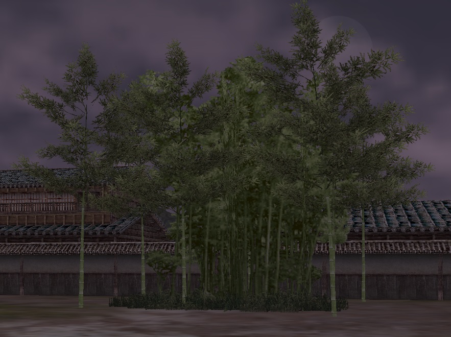 竹林.jpg