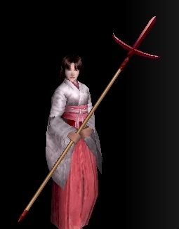 紅十文字の改装具グラ.JPG