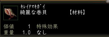 綺麗な巻貝.JPG