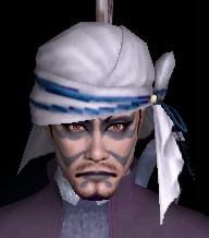 冠.jpg