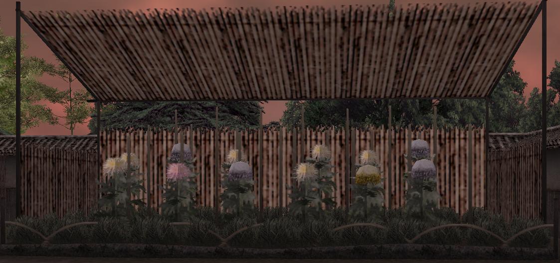菊花壇.JPG