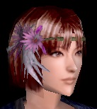 傾奇華.jpg