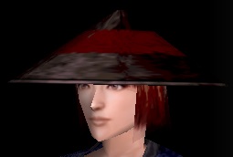 旅の陣笠.jpg