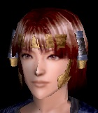 渡来金縁頬当て.jpg
