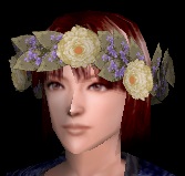 草編花冠.jpg