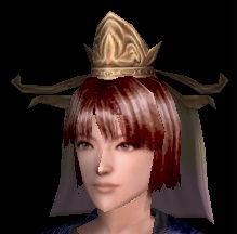 金宝塔面.jpg