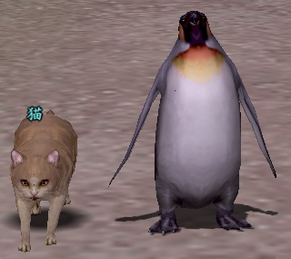 ペンギン中.jpg