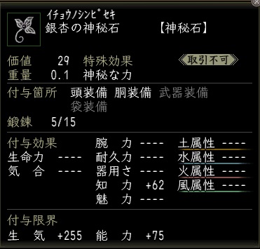 銀杏の神秘石00.jpg