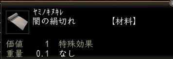 闇の絹切れ.JPG