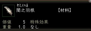 闇之羽根.JPG