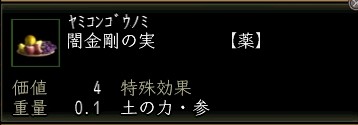 闇金剛の実.JPG