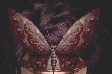 黒揚羽蝶グラ.JPG
