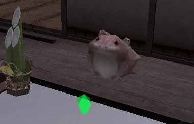 かえるの置物グラの画像