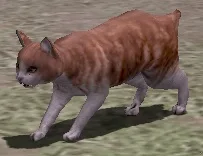 変身薬・猫:茶猫