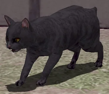 変身薬・猫:黒大猫