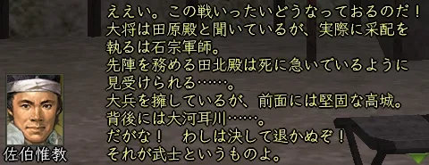 耳川の合戦 (大友家):耳川(大友)_佐伯惟政_01