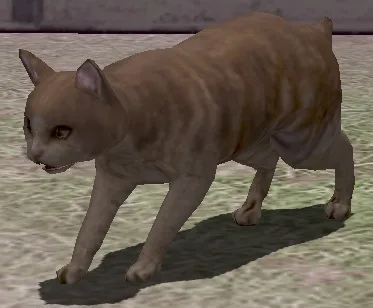 変身薬・猫:茶大猫