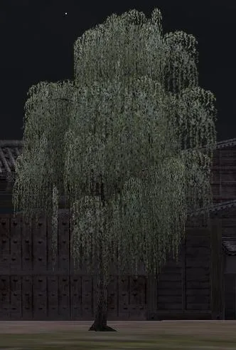 柳の植木の画像