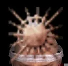 大日輪立物グラの画像