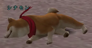 シナモンの犬笛:シナモン寝転び
