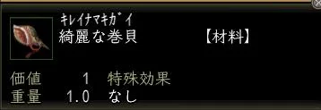 綺麗な巻貝の画像