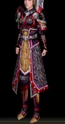 戦士の具足改装具の画像(2)