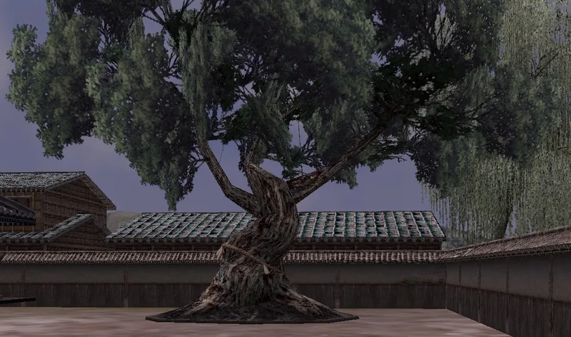 大きな植木の画像